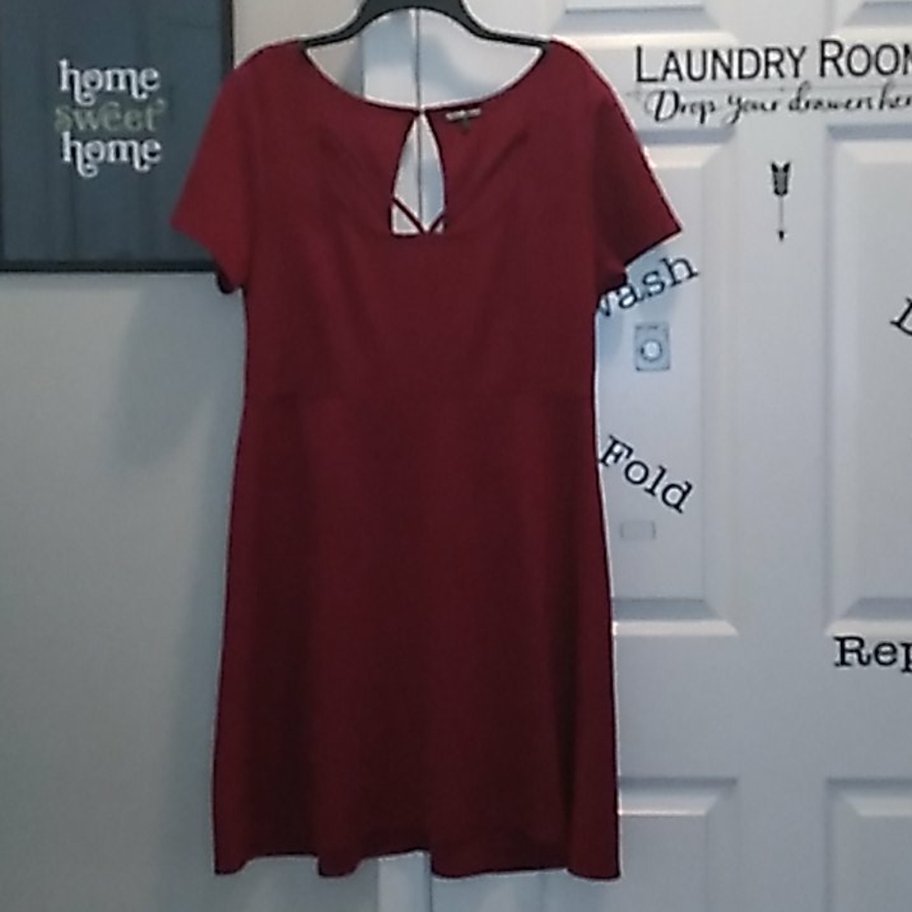 Burgundy Charlotte Russe plus skater dress
